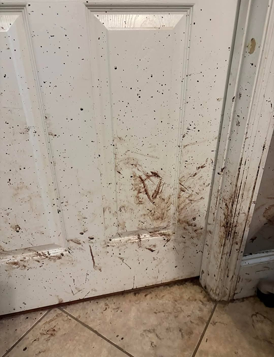 Screenshot_20251231_163448_Facebook