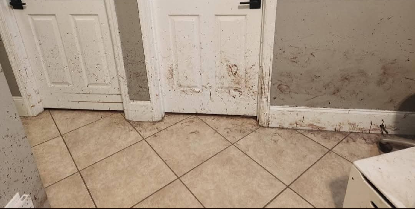 Screenshot_20251231_163525_Facebook